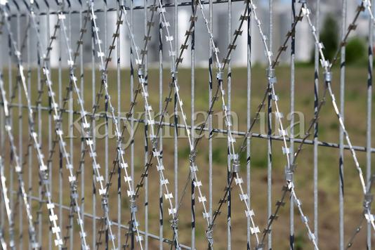 Сварная панель забора и колючая сетка Кайман