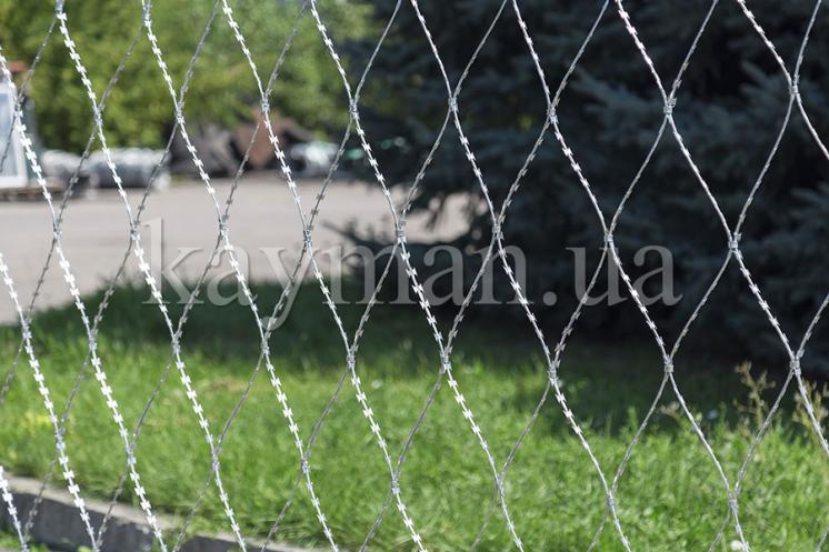 Сетка колючая Кайман