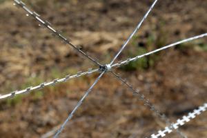 Super clip on barbed wire fence