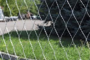 Piranha barbed wire mesh